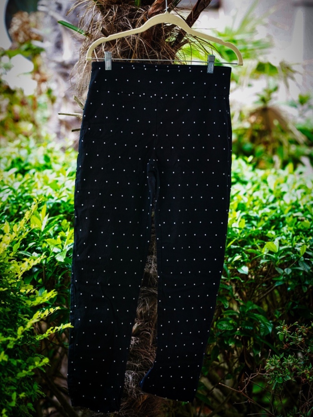 Crown & Ivy Black Polka Dot Ankle Pants - Size 8